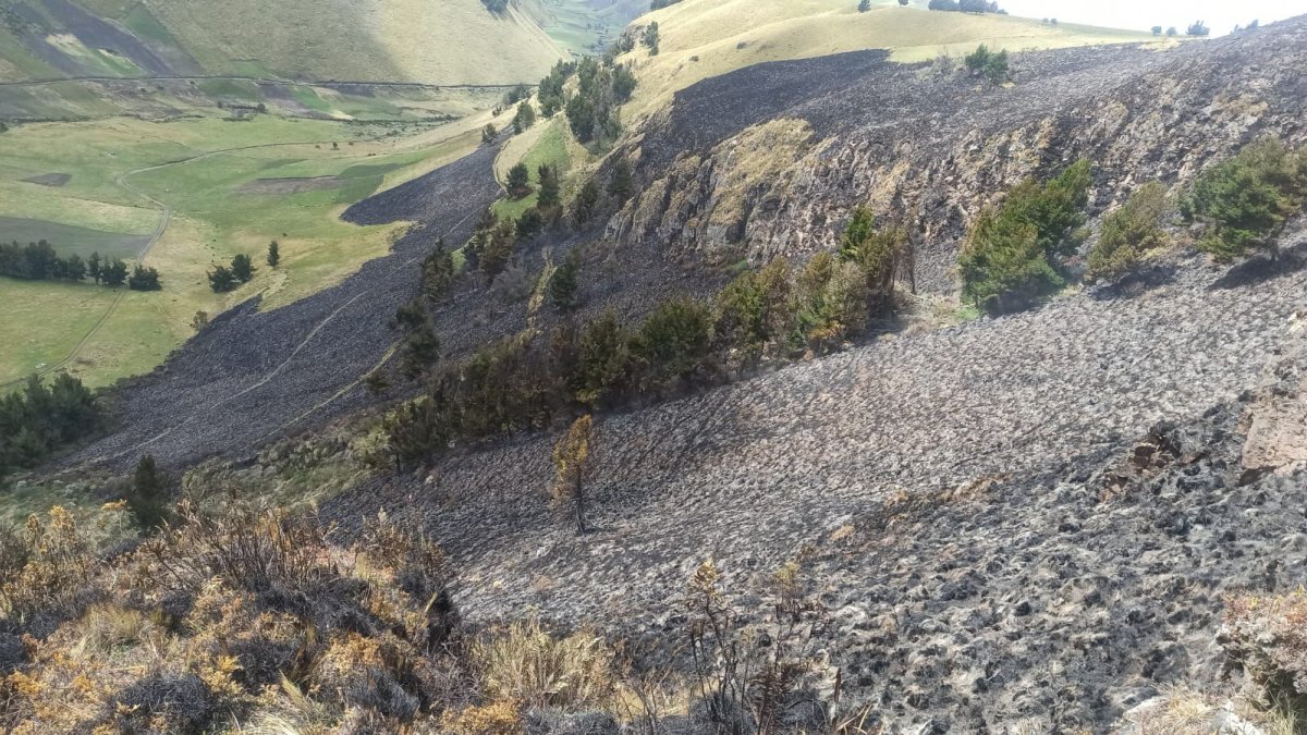 Luego de tres horas, el siniestro que se registró, a las 09:30, en  el Parque Nacional Llanganates, ubicado en la provincia de Cotopaxi, fue controlado.