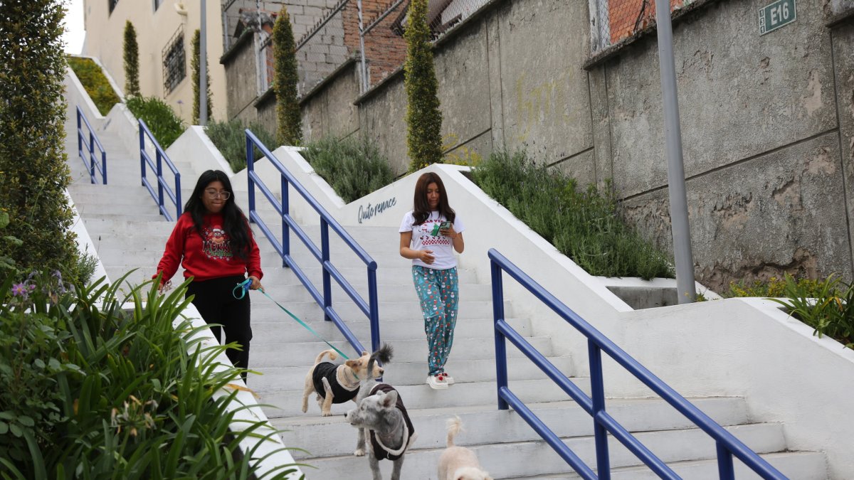 Gestión. Las escalinatas del barrio Las Orquídeas fueron solicitadas y ejecutadas mediante presupuestos participativos.