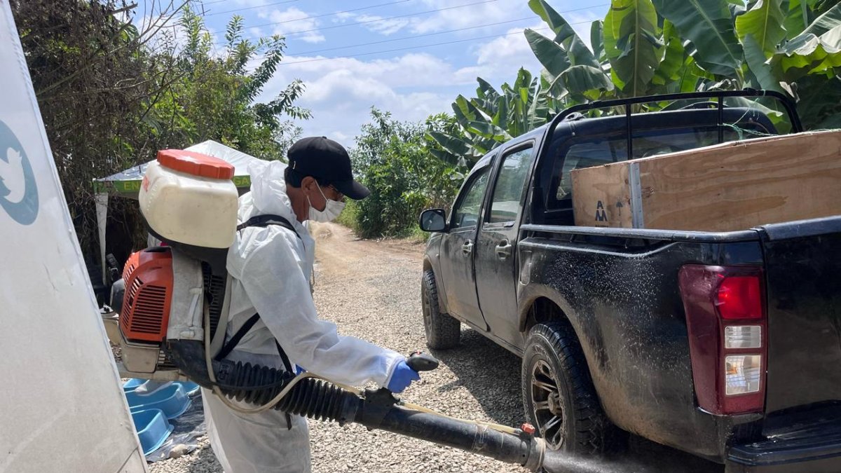 Los controles se mantienen estrictos en el sector El Quemado, donde se detectó el hongo del Fusarium.