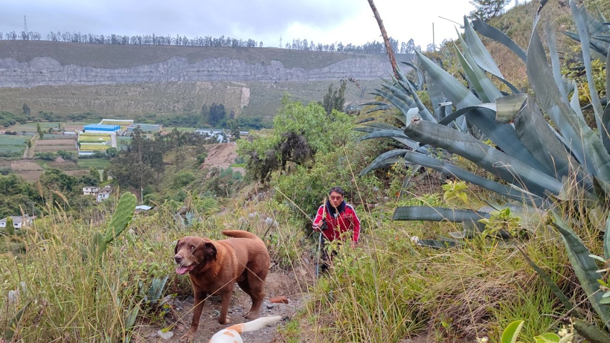 Protagonistas. Los canes Tony y Gaya, los “nietos de cuatro patas”, inspiraron el libro que Wilson Pinto.