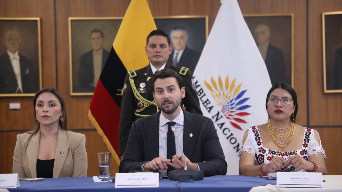 El presidente de la Asamblea Nacional, el oficialista Niels Olsen.