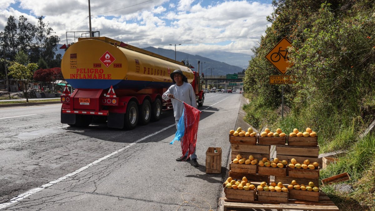 Puestos improvisados atraen compradores que se detienen abruptamente en la Ruta Viva, una práctica que autoridades consideran peligrosa y recurrente.
