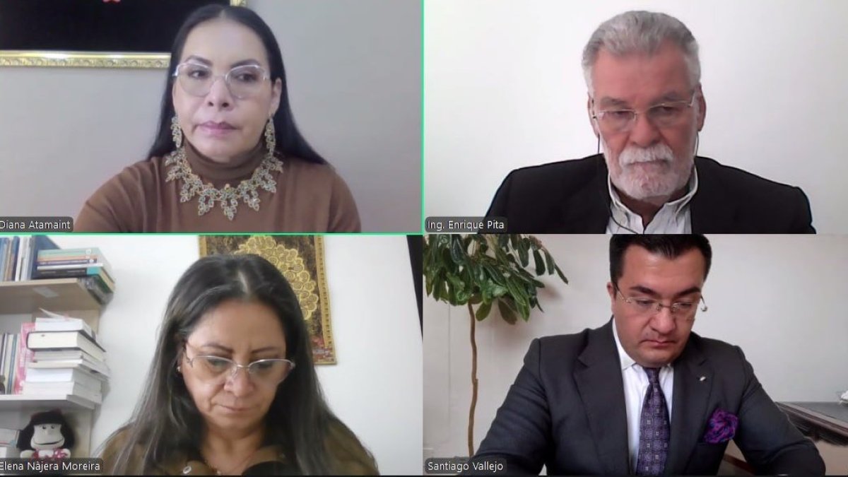 Sesión. A la reunión telemática acudieron Diana Atamaint, Enrique Pita, Elena Nájera y Jorge Cabrera.