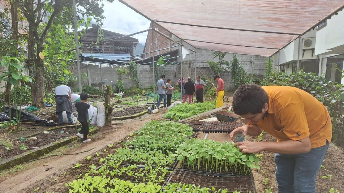 Huertos. El proyecto involucró a más de 200 mil personas.