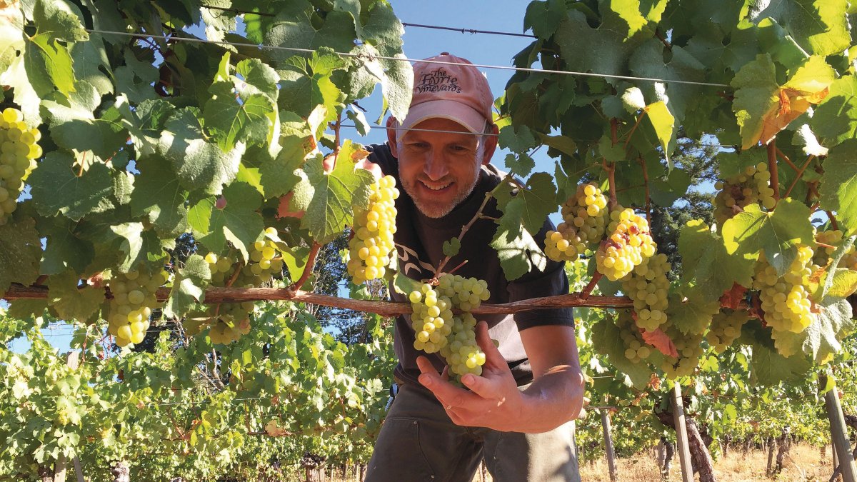 Experiencia. La región vinícola de Willamette, en Oregón (EE.UU), ofrece una experiencia íntima entre viñedos, posadas rurales y productos de granja.