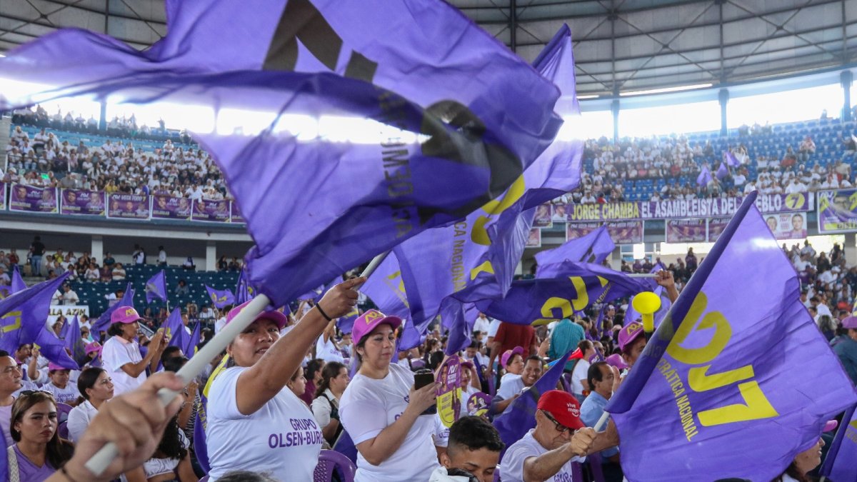 ADN será el movimiento que participará por primera vez en unas elecciones de carácter seccional.