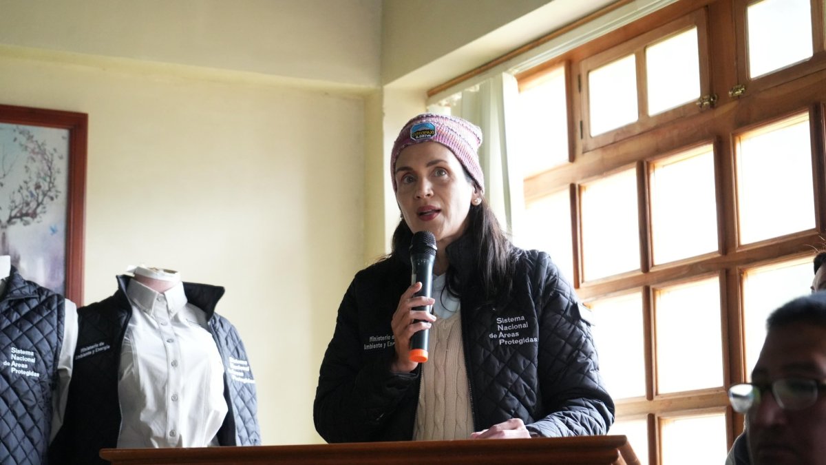 Inés Manzano expuso los proyectos públicos y privados que marcarán la oferta eléctrica en los próximos años.