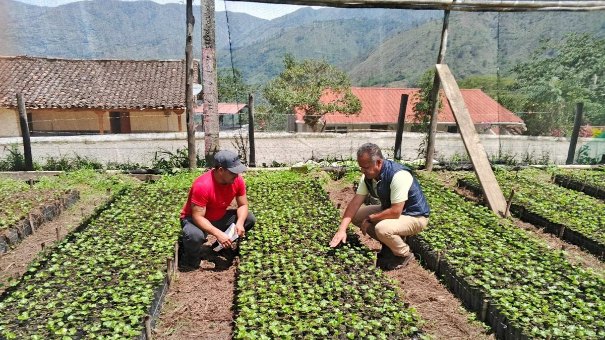 Productores durante una jornada de promoción del grano lojano.