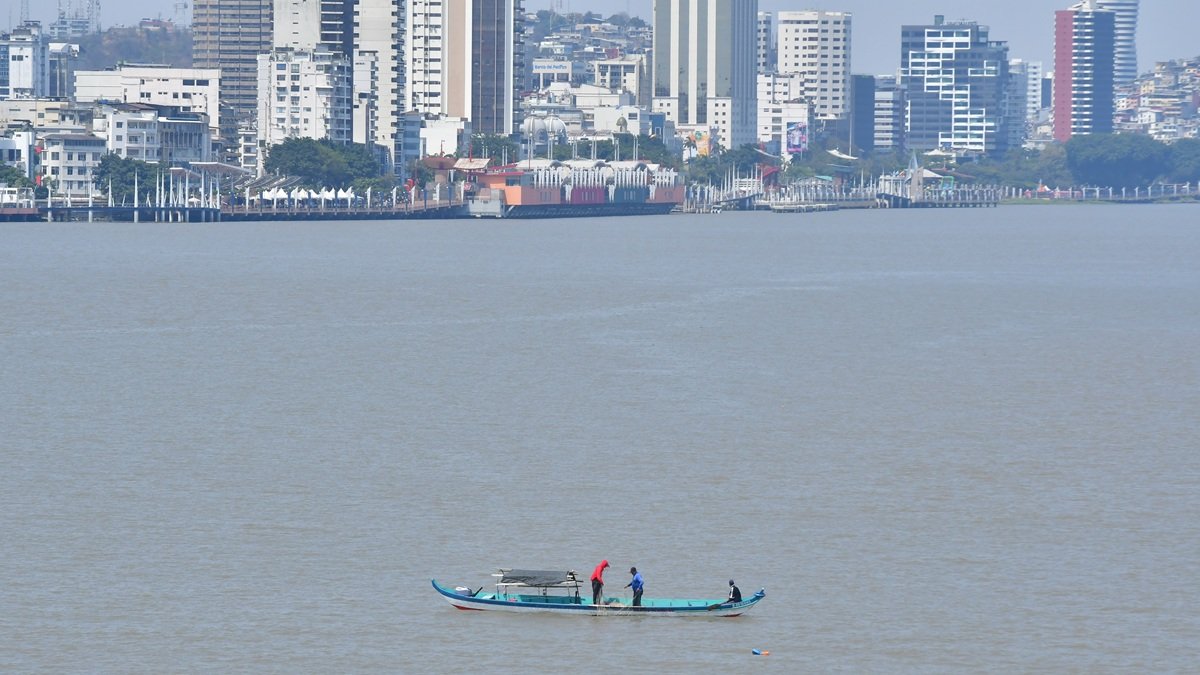 Hay estudios para implementar sistemas de transporte fluvial en Guayaquil.