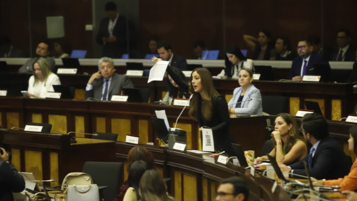 La legisladora Lucía Jaramillo (ADN) presentó el video de la entrevista a Rafael Correa.