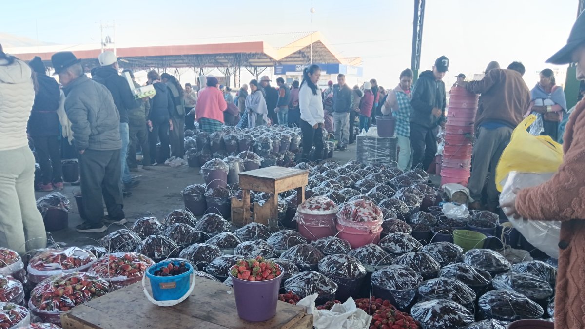 Situación. Los productores ofrecen claudias, peras y capulí en el Mercado Mayorista de Ambato.