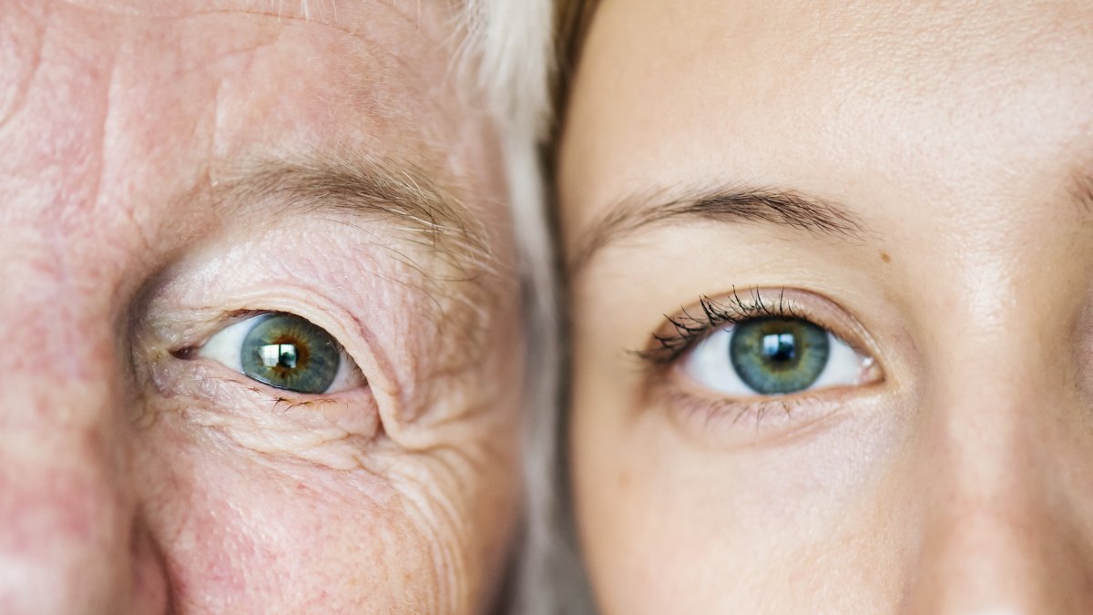 Descubre cómo este hallazgo redefine el envejecimiento como una enfermedad tratable y qué significa para el futuro de la medicina