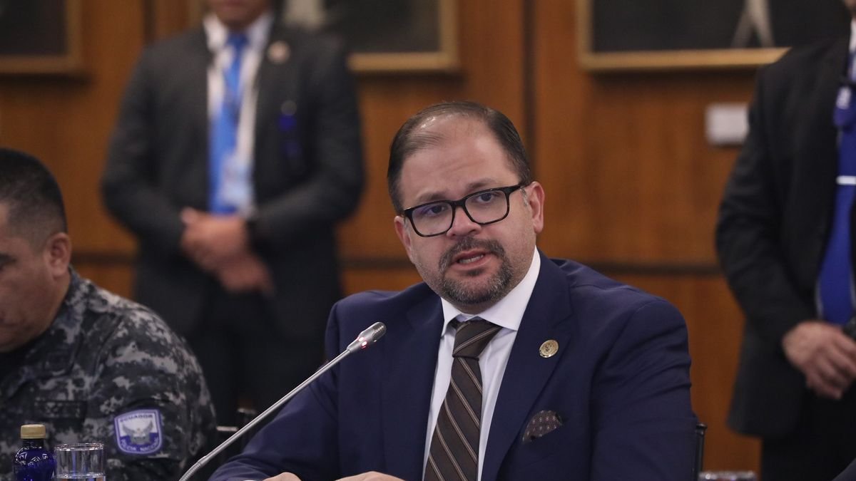 Reimberg criticó al Poder Judicial de España por dejar en libertad a alias “El negro Willy” y demuestra que desconoce cómo funciona la Justicia en aquellas democracias.