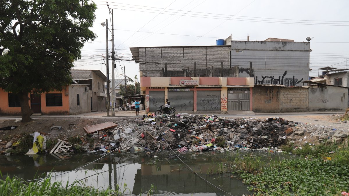 Ecosistema. En los canales naturales de Durán hay basura sobre el agua y en las orillas.
