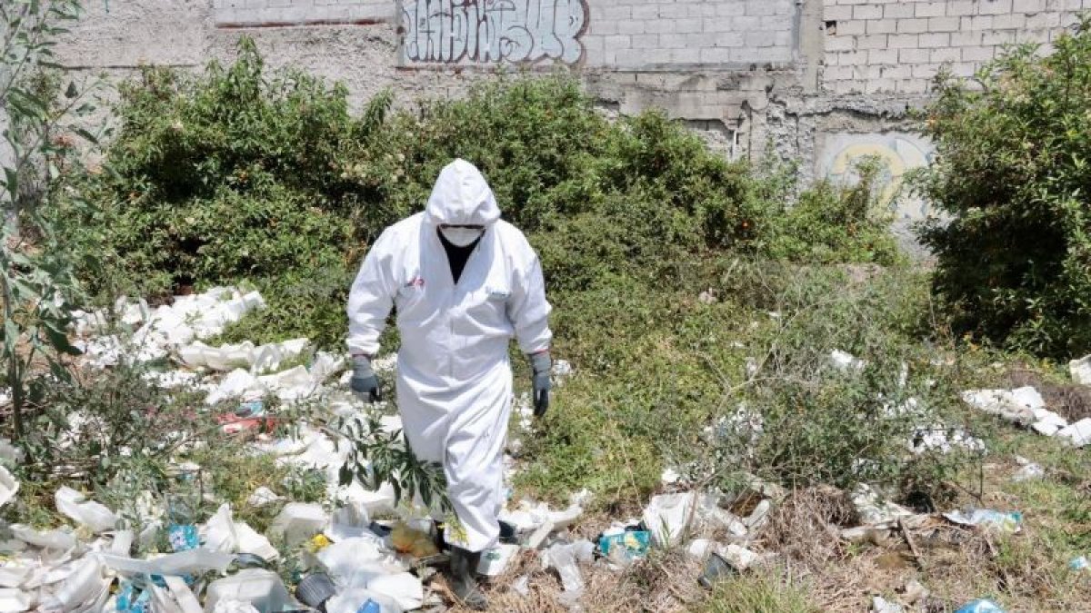 Personal de la Unidad de Bienestar Animal llegó al terreno abandonado en el sector de El Condado.