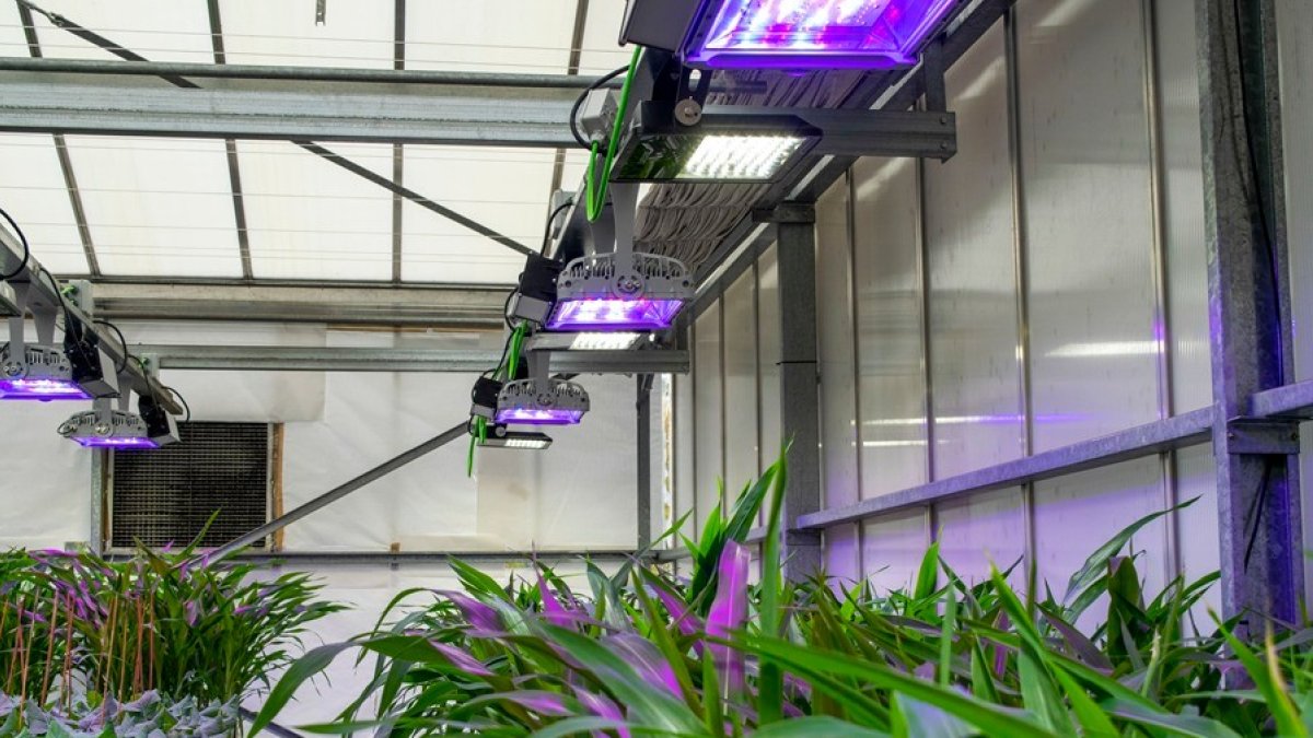 Plantas. El CBGP cuenta con instalaciones de 1900 m2 para el cultivo.