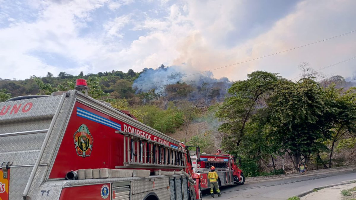La emergencia se registró este 11 de enero en Guayaquil, cuando la ciudad soporta un intenso sol y altas temperaturas.