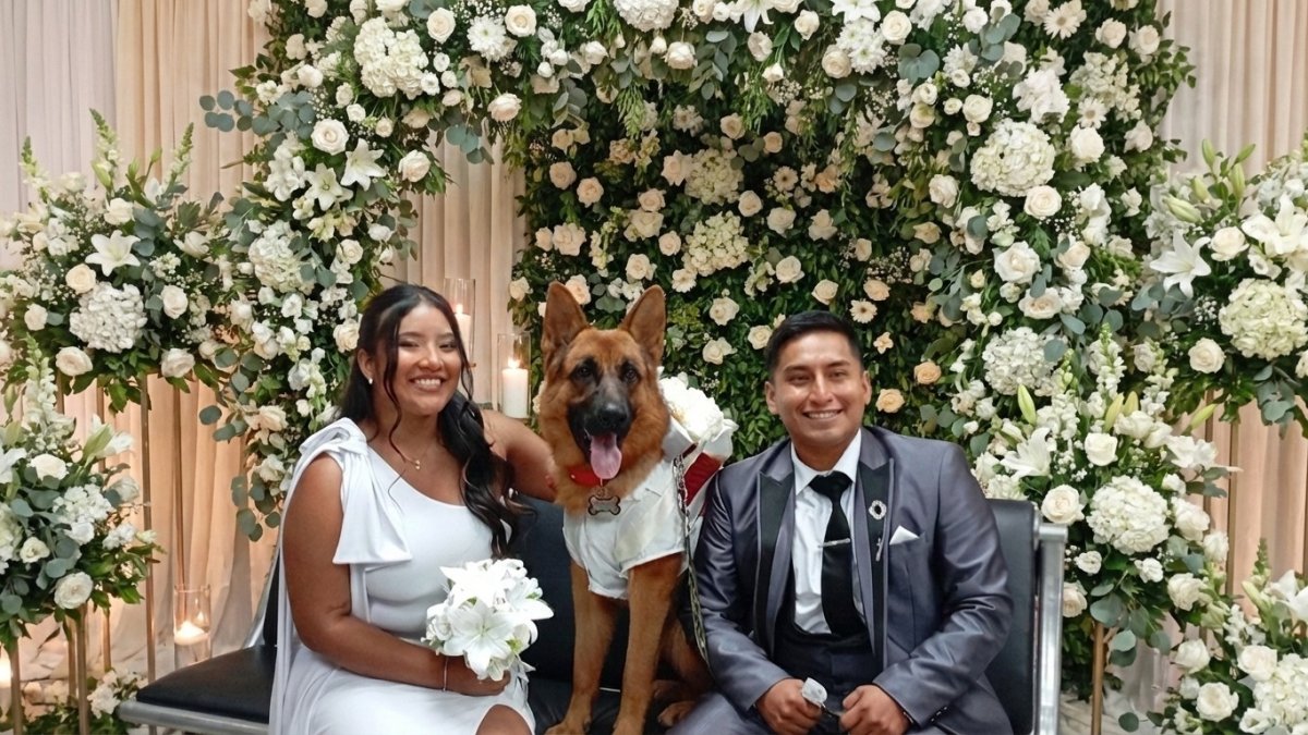 Las agencias del Registro Civil en Pichincha concentraron miles de matrimonios y divorcios durante 2025.