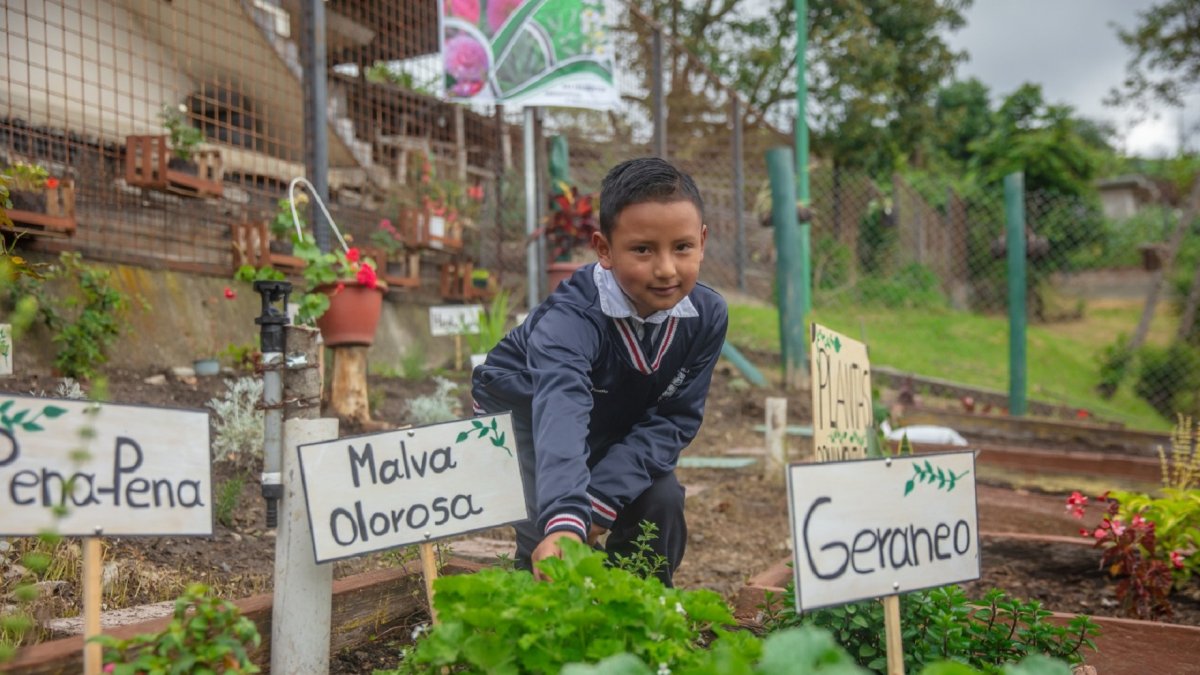 Iniciativa. Estudiantes y padres de familia participan en los huertos.
