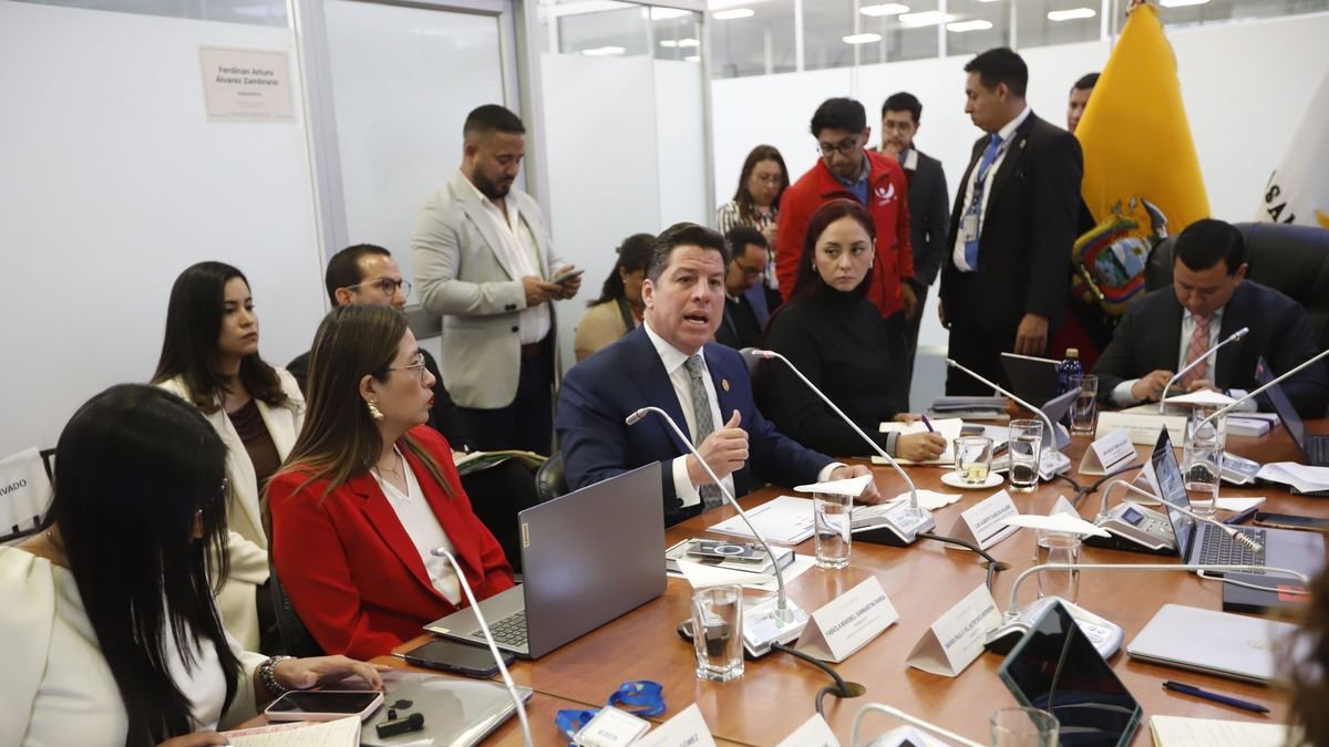 El presidente de la Comisión de Fiscalización, Ferdinan Álvarez (a) Tilín (d), fue criticado por el correísmo al convocar al Superintendente de Compañías, en lugar de tratar temas prioritarios.