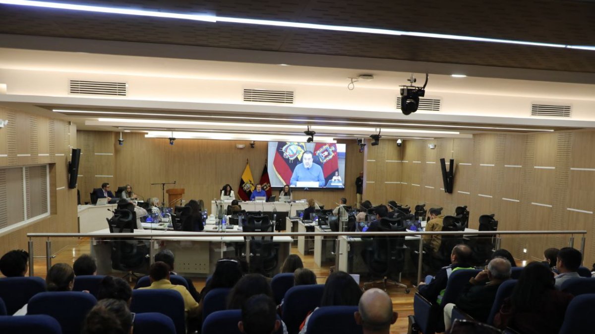 Dirigentes de varios barrios expusieron ayer al Concejo Metropolitano la falta de recursos policiales y la inseguridad que afecta a Quito.