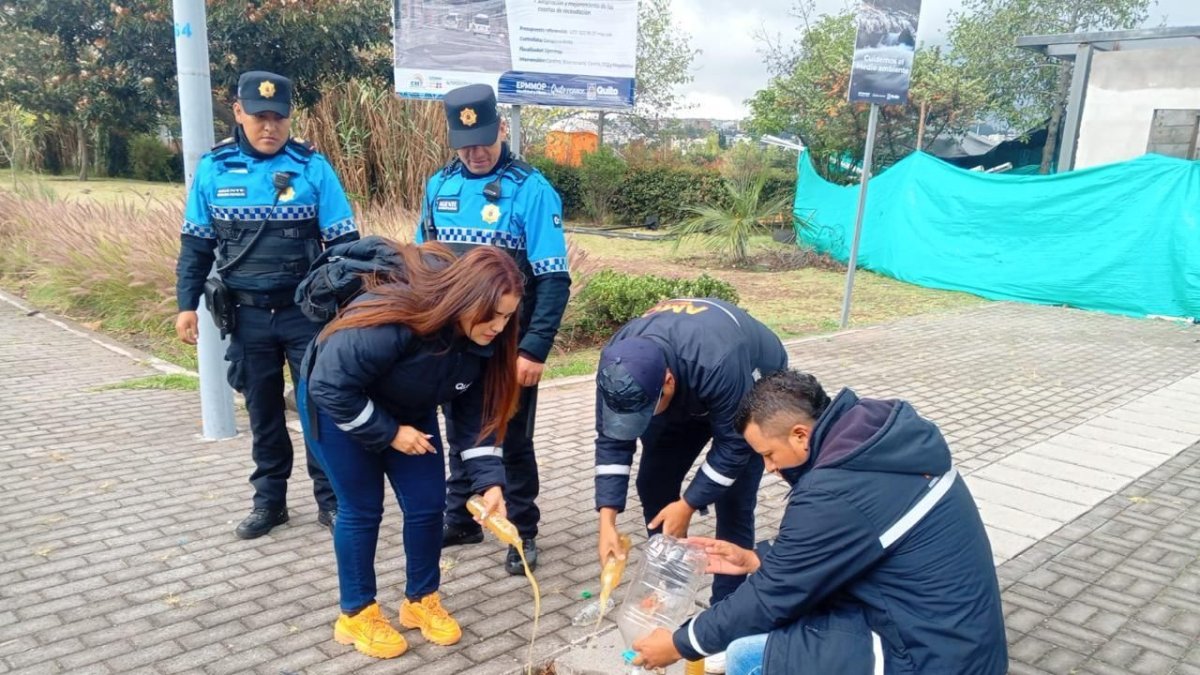 Operativo de la Agencia Metropolitana de Control de libadores en distintos puntos de Quito.