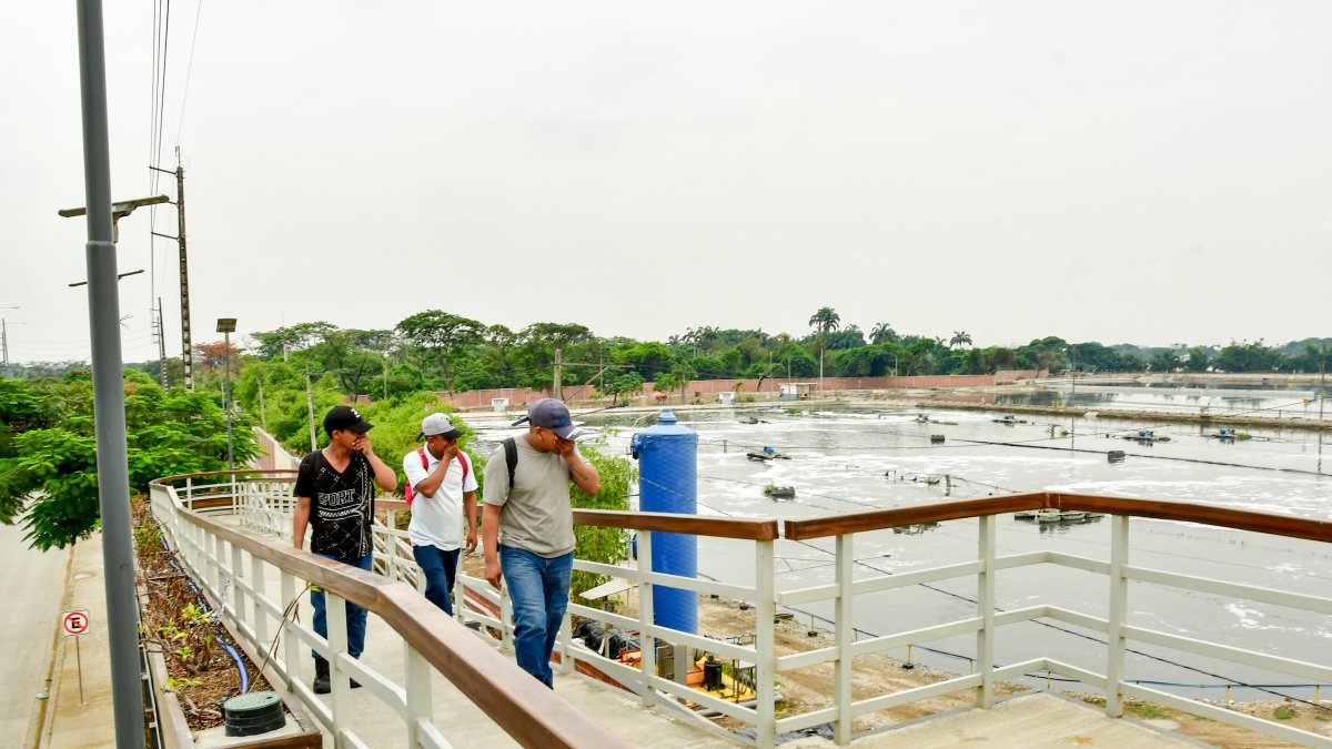 Residuos como harina de pescado y químicos industriales recorren la ciudad desde zonas industriales (como la vía a Daule) hasta la PTAR Los Merinos.