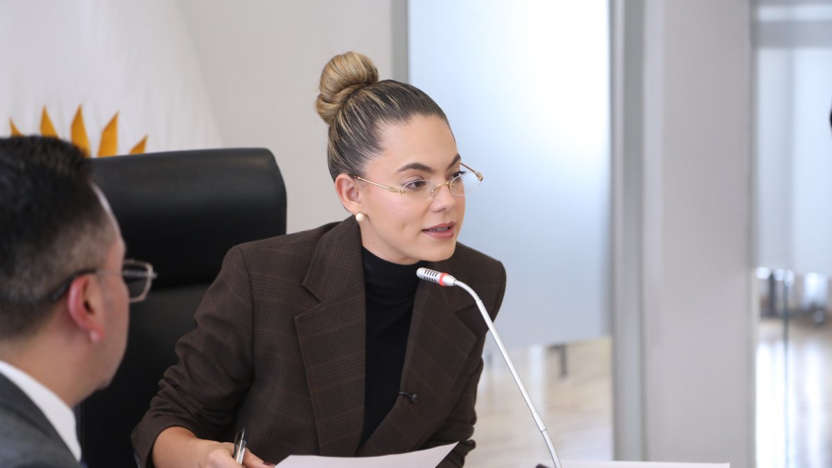 La presidenta de la Comisión de Justicia, la asambleísta oficialista Rosa Torres.