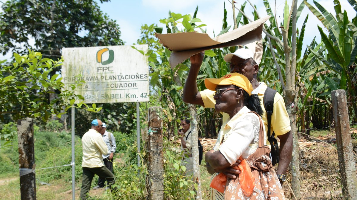 Expertos de la ONU aseguran que las víctimas continúan en un limbo debido a la falta de acción del Estado.