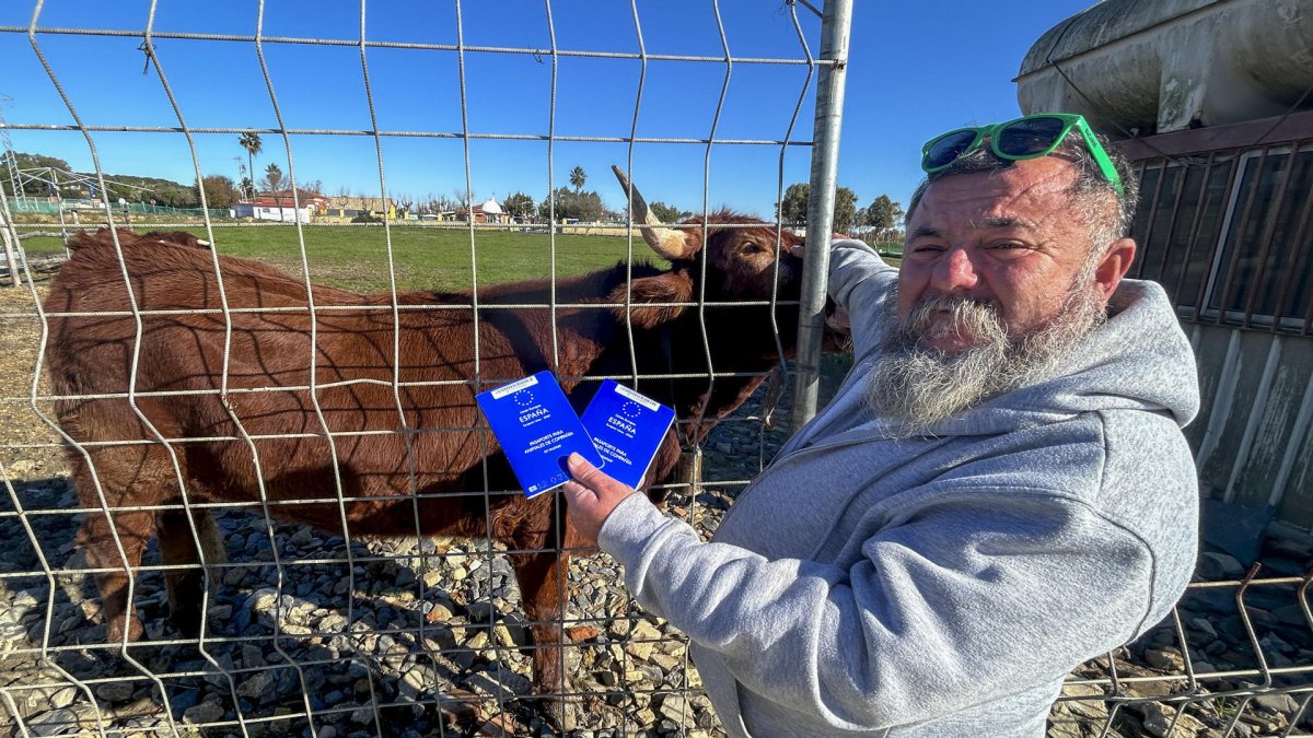José Antonio Oria, el español que convirtió dos vacas en mascotas para salvarlas del sacrificio.
