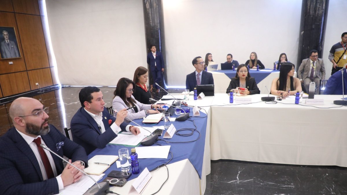 Mario Godoy enfrenta una solicitud de juicio político presentada por el correísmo.