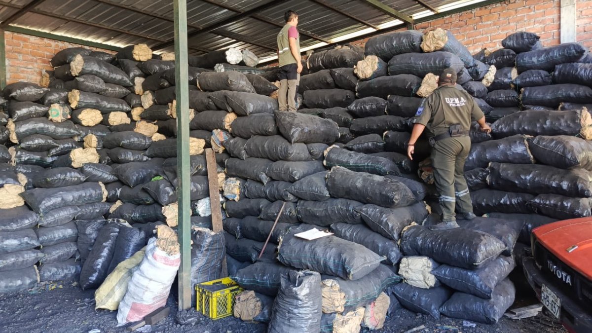 Carbón sin documentación era comercializado en la comuna San Marcos.