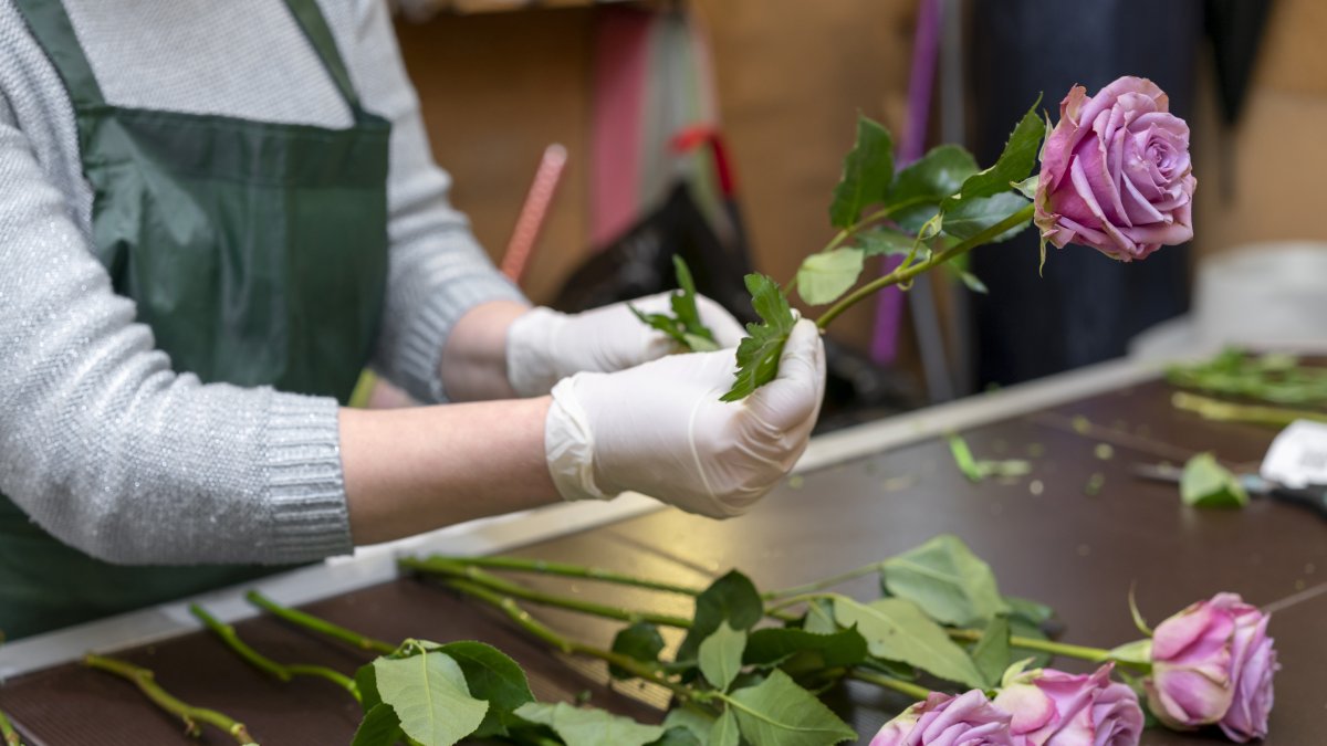 Exportación de flores ecuatorianas por San Valentín desde el Aeropuerto Internacional Mariscal Sucre de Quito.