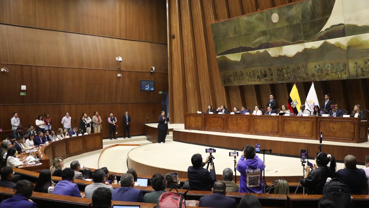 A criterio de los expertos, las organizaciones políticas deben intervenir para que sus delegados en la Asamblea Nacional ejerzan su función de fiscalizar.