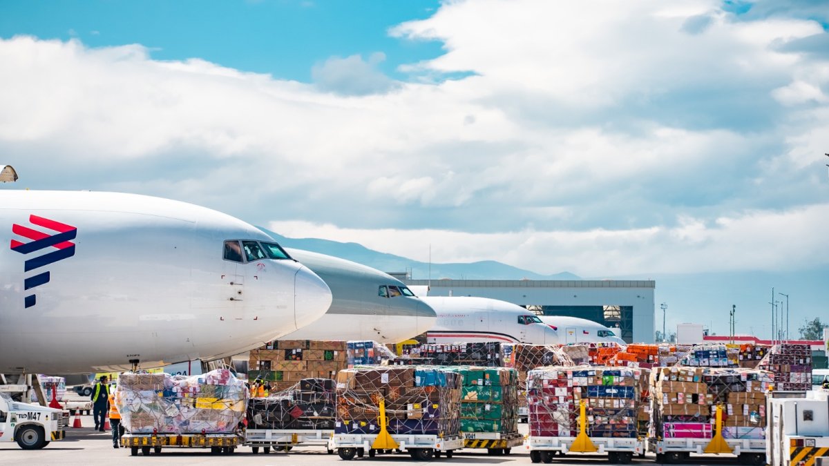 El sector florícola espera un incremento del 6 % del volumen de exportación con respecto a la temporada anterior.