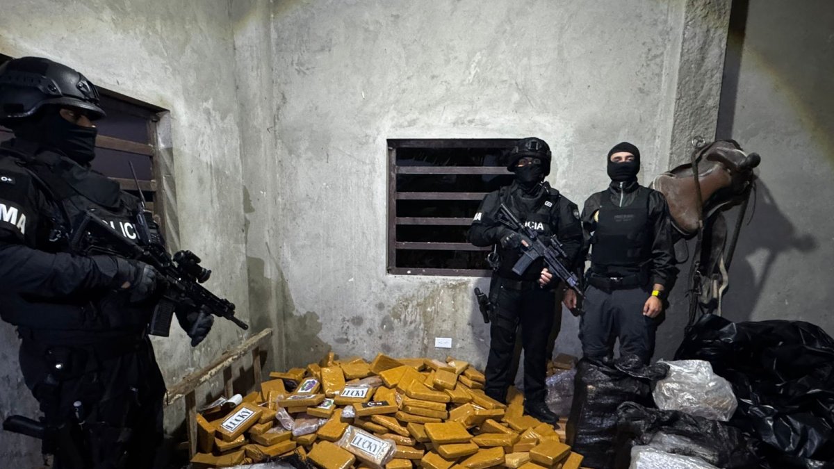 Un operativo policial evitó introducir 300 paquetes de droga en contenedores destinados a puertos internacionales.