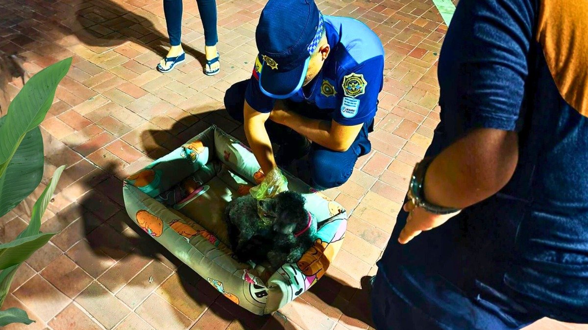Nace un cachorro en plena calle del Malecón 2000, con intervención de Segura EP.
