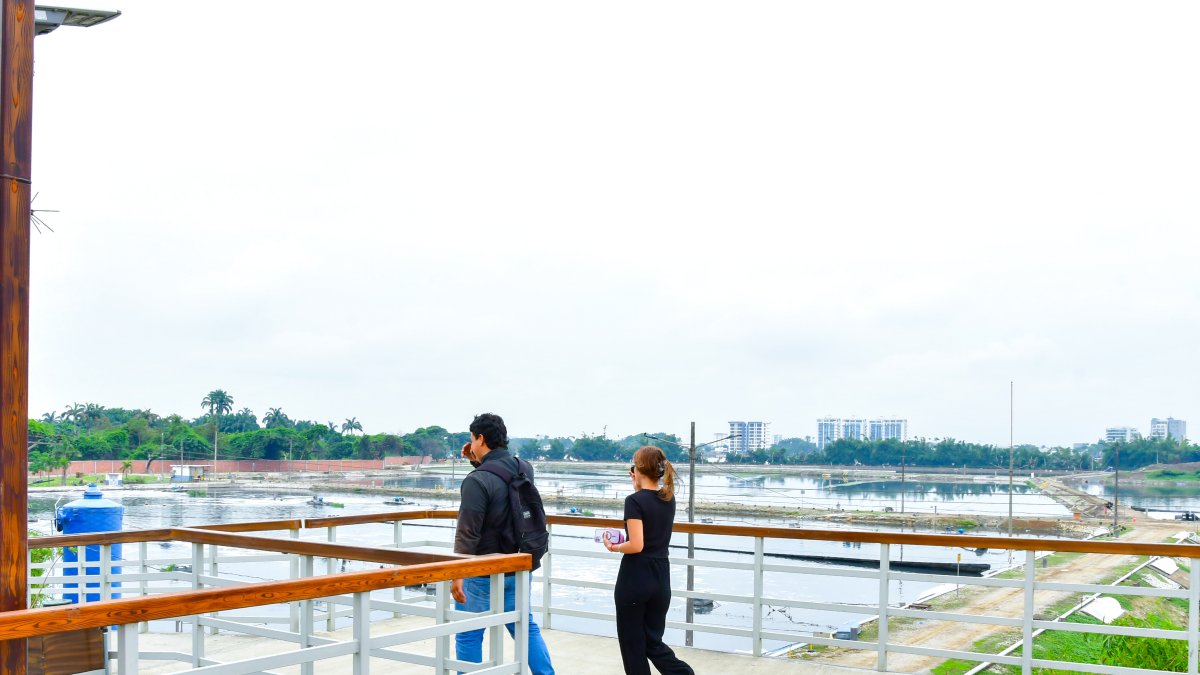 EMAPAG advirtió en un informe técnico que estas descargas alteran los procesos biológicos del sistema y afectan su estabilidad operativa.