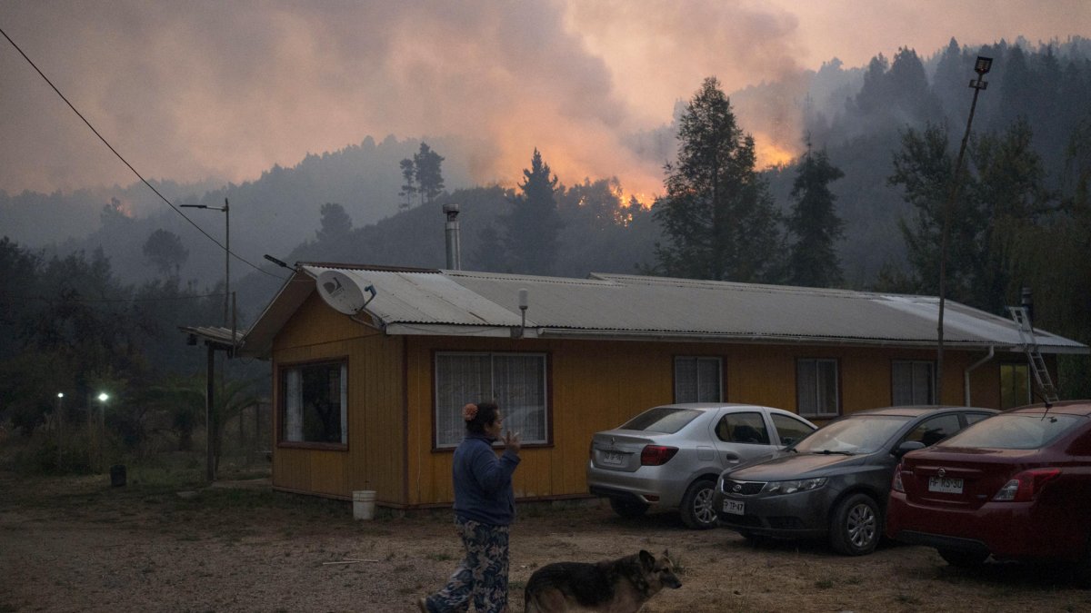 Una mujer camina cerca a un incendio forestal en la comuna de Chaimávida, en Concepción a unos 491 km aproximadamente de Santiago (Chile).
