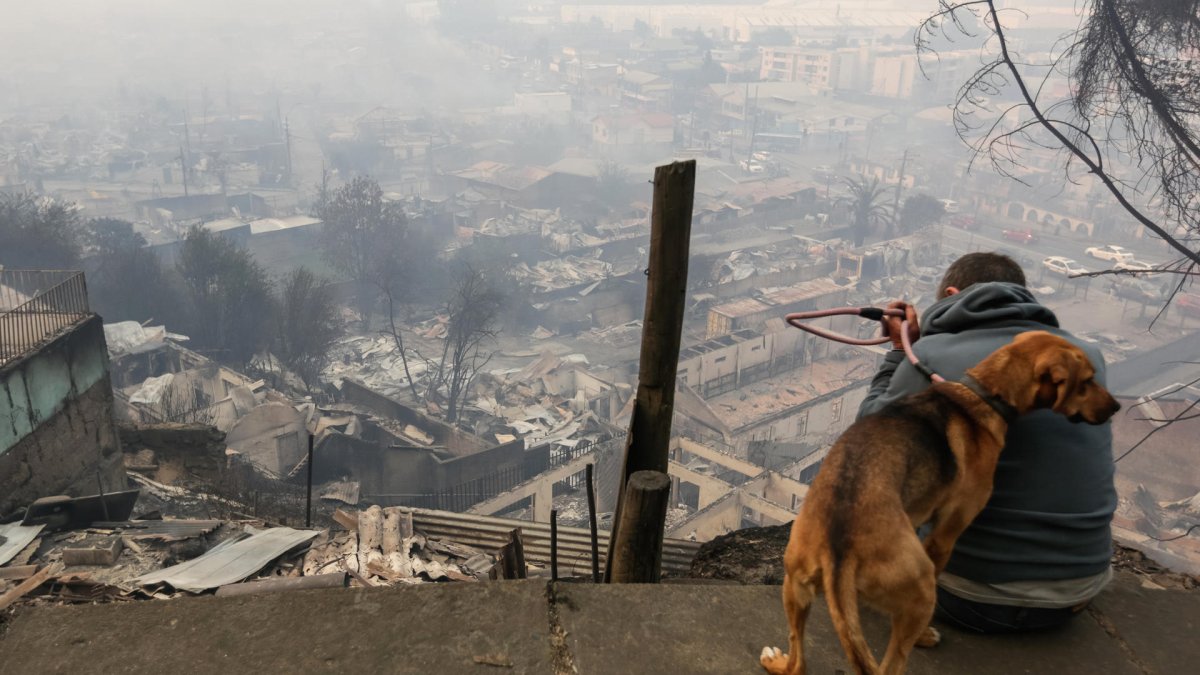 Un hombre observa junto a su perro casas afectadas tras incendios forestales en la comuna de Penco, Concepción (Chile).