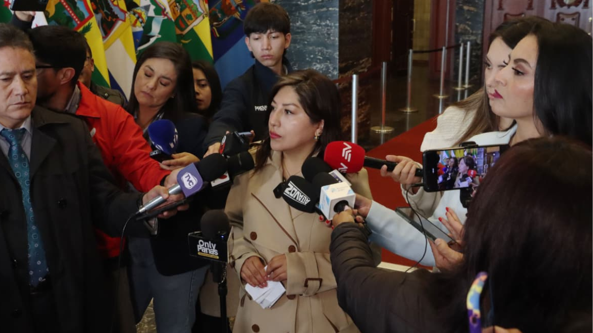 La oficialista Inés Alarcón explicó las razones para no dar paso a la solicitud de juicio político en contra de los vocales del CPCCS.