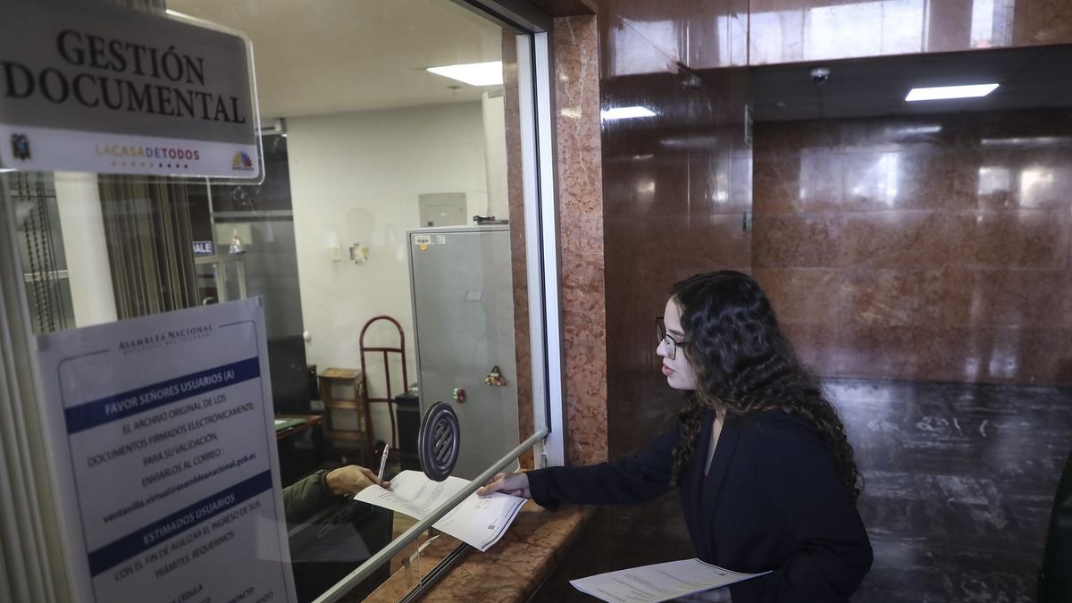 La asambleísta oficialista de ADN, Camila León, presentó una propuesta de reformas para que sancione penalmente a quienes critican a funcionarios públicos.