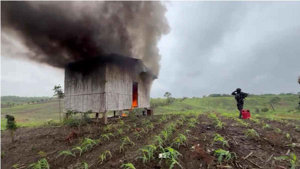 Policías destruyen casas donde permanecían secuestradas víctimas.