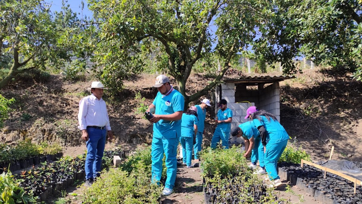 Proyecto. Estudiantes del Instituto Tecnológico Pelileo cultivan sandía y melón en fincas prestadas de Patate.