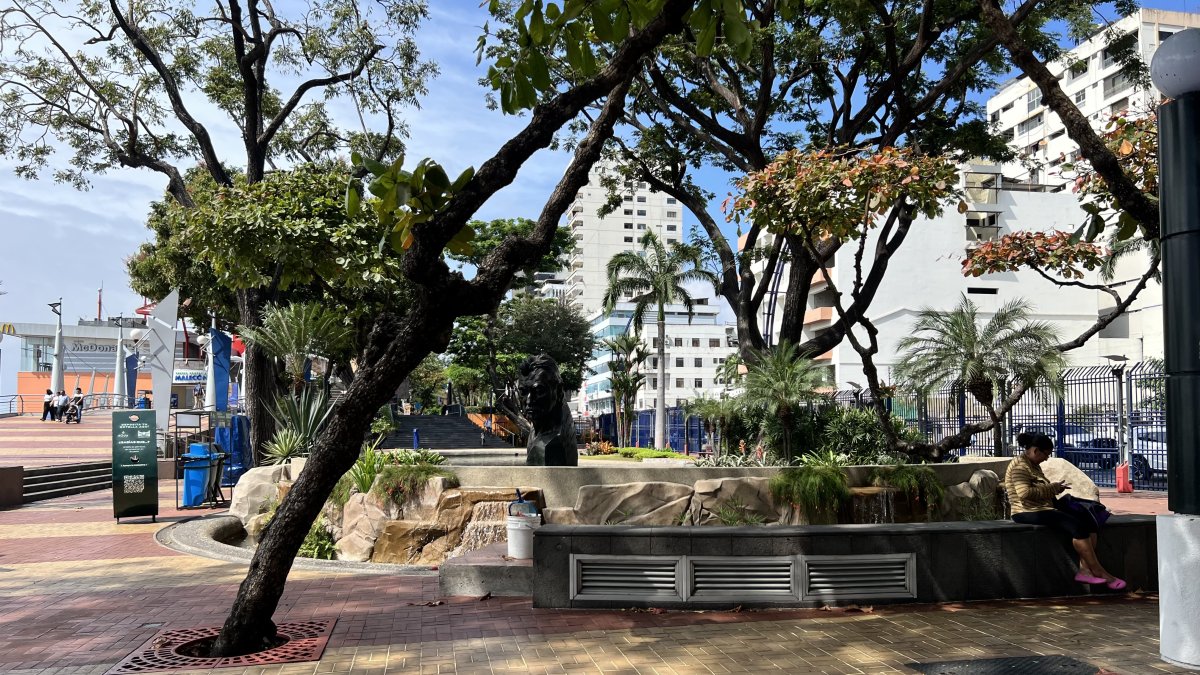 En varios sitios turístico de Ecuador hay una disminución de turistas extranjeros; desde la pandemia, la cifra de visitantes que gozaba el país no se ha recuperado.