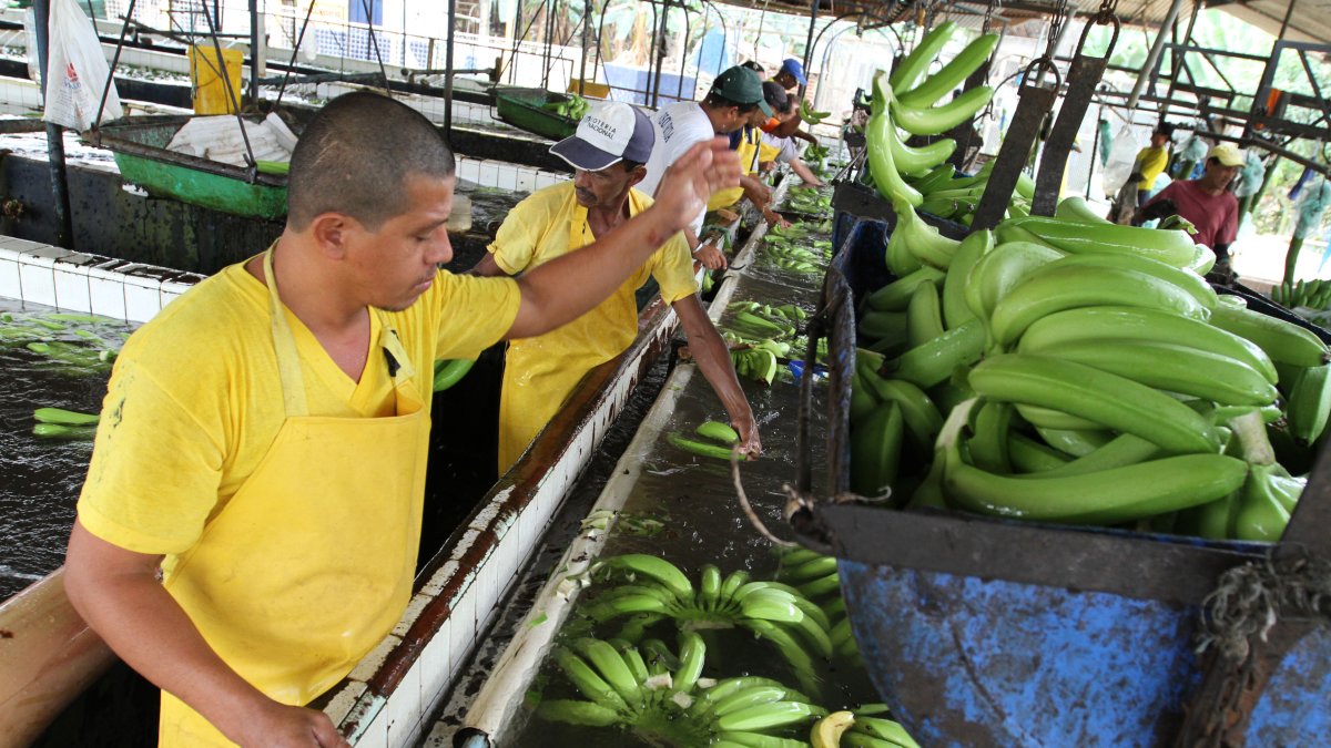El proceso de venta de la hacienda La Clementina permanece estancado debido a problemas de seguridad.