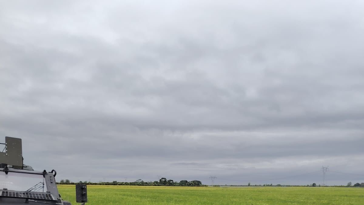 Alias Frank fue detenido en el lugar y puesto a órdenes de las autoridades.