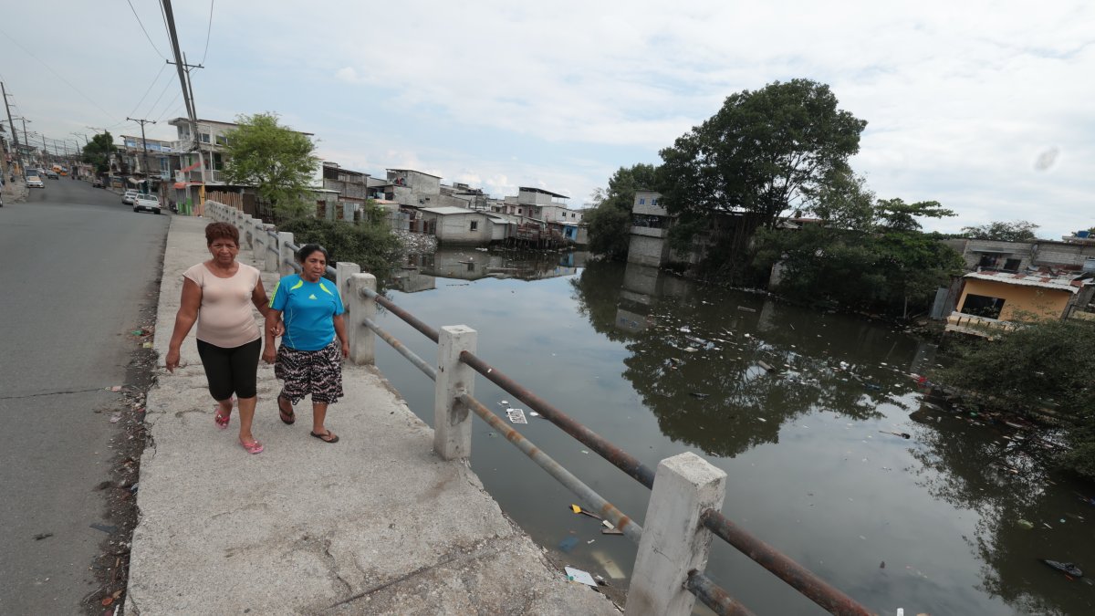 Pedido. Los guayaquileños llevan varios años pidiendo que los cuerpos hídricos de la ciudad estén limpios. Desde los ramales del estero hasta el río Daule.