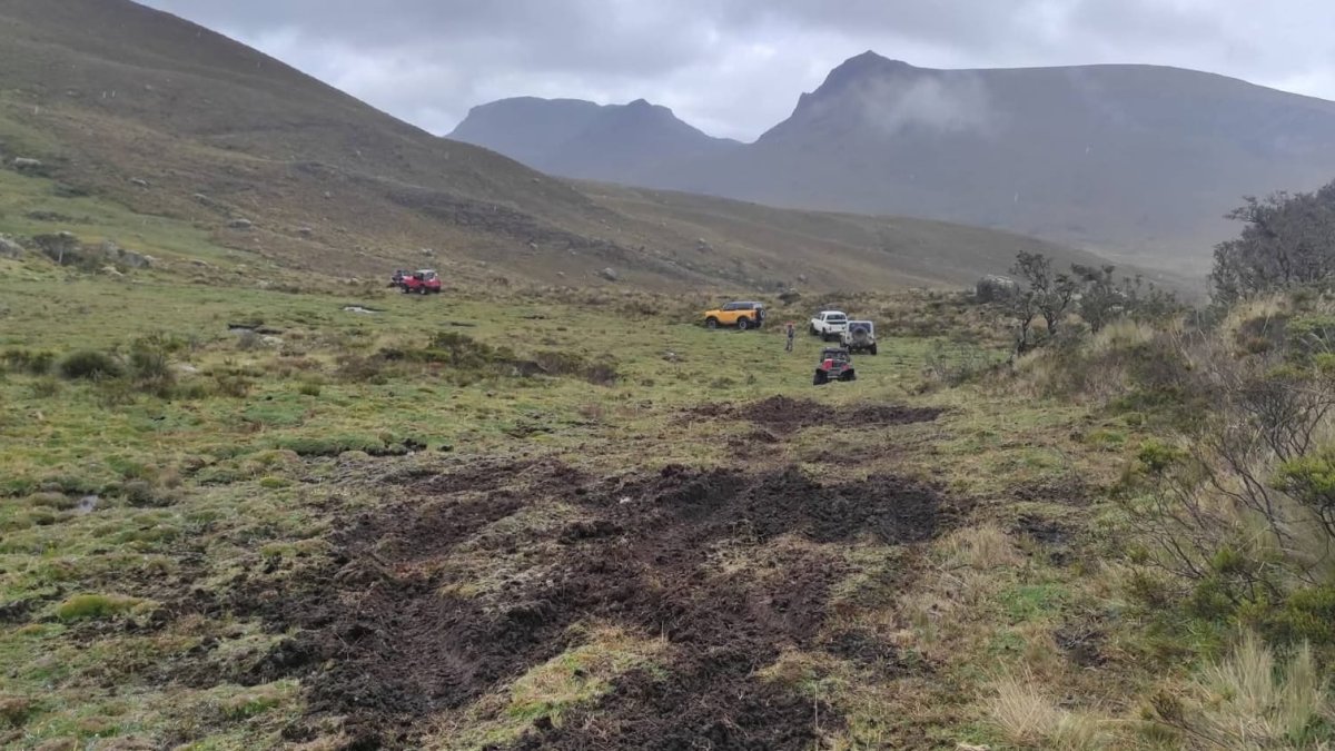 Los conductores de siete vehículos causaron daños en el Parque Nacional Cajas al ingresar a zonas prohibidas.