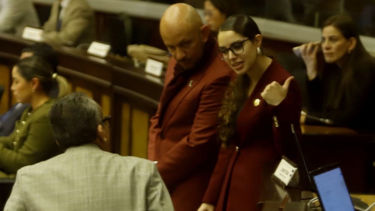 Iniciativa. La asambleísta Camila León asegura que elaboró su proyecto con periodistas, pero omite nombres.